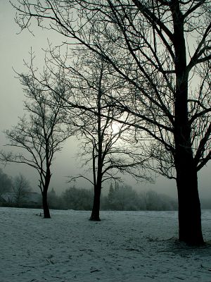 060128_snow6.jpg