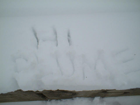 from Jane