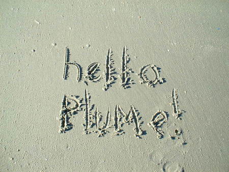 from jane!