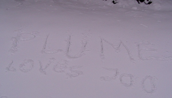 plume loves joo